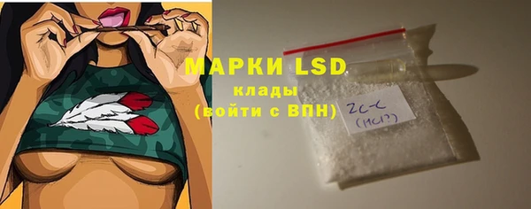твердый Бородино