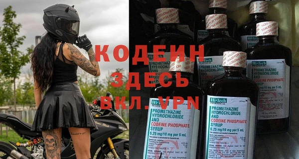 твердый Бородино