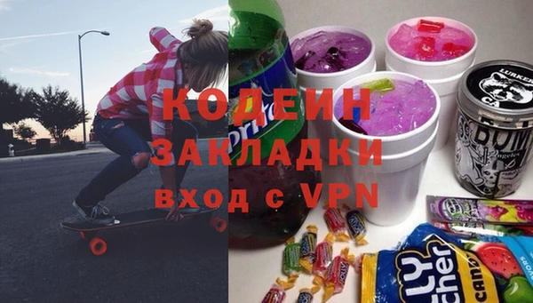 твердый Бородино
