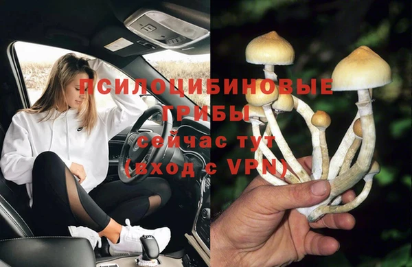 ПСИЛОЦИБИНОВЫЕ ГРИБЫ Бронницы