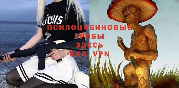 твердый Бородино