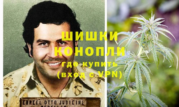 твердый Бородино