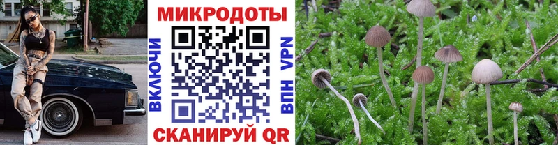 Купить  Сельцо  Галлюциногенные грибы Magic Shrooms 